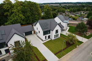 Rose Collection - Jacobite House (1) Image